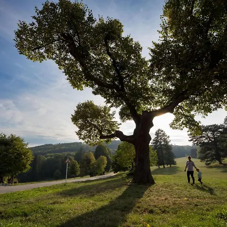 Hotel Smolenický Zámok *